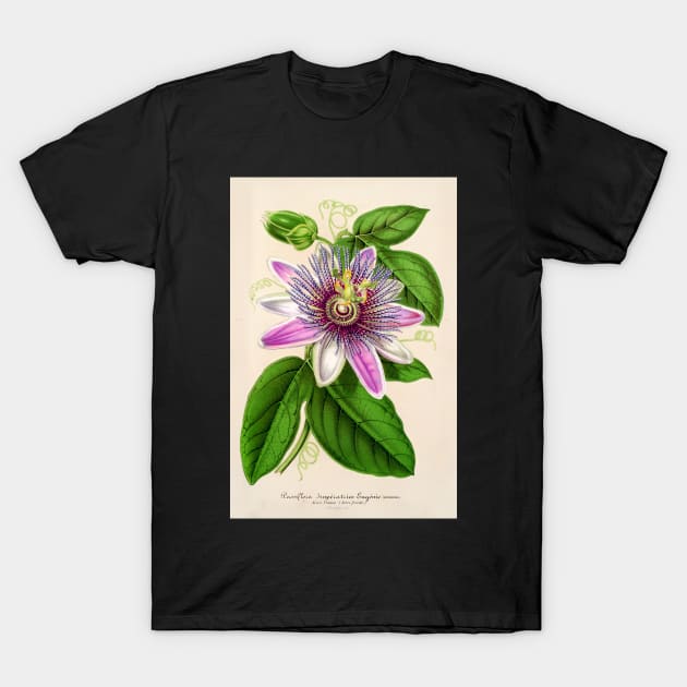 Passion Flower - Passion Vine botanical illustration T-Shirt by chimakingthings